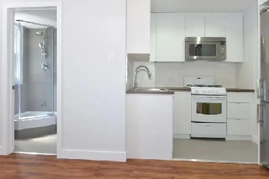 Renovated One Bedroom, College and Spadina - ID 341 Image# 3