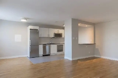 renovated two bedroom, King and Tyndall - ID 117 Image# 5