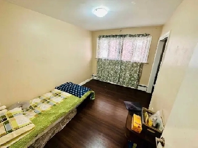 Affordable Single Room Available in Scarborough Image# 1