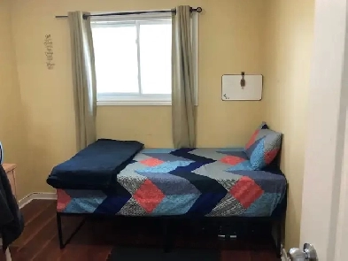 Rooms Available Across from Welland Niagara College Image# 1