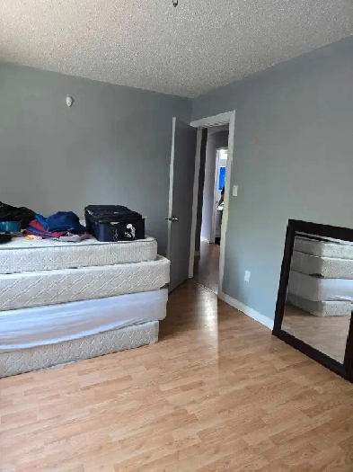 room for rent west end Image# 1