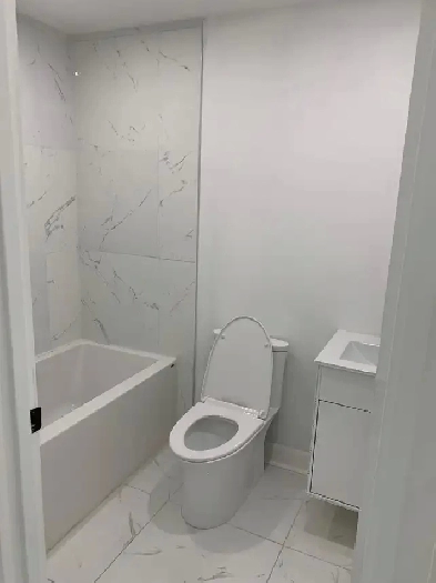 4 1/2 appartement Rénové à louer Plateau-Mont-Royal Image# 1