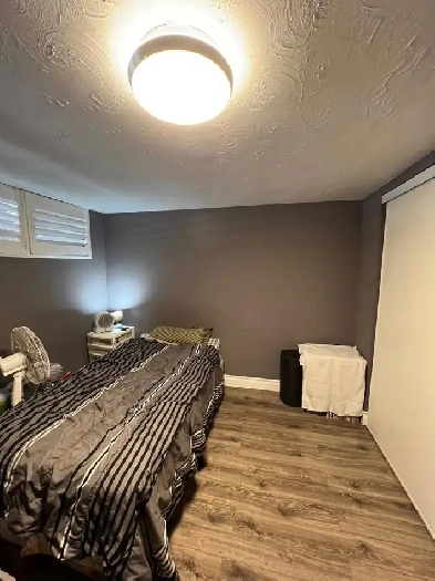 1 room in basement apartment near brimley road scarborough Image# 5
