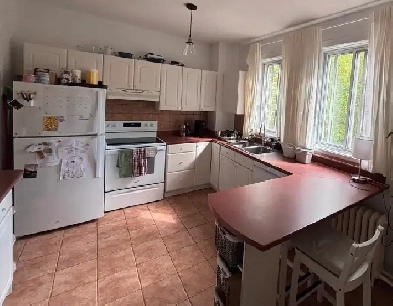 Bright and Spacious 6 ½ for Rent  in Snowdon – Available July 1 Image# 1