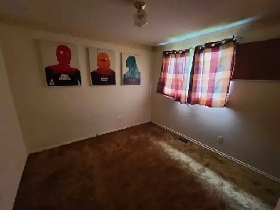 Room For Rent (5 Mins From Algonquin College) Available July 1st Image# 2