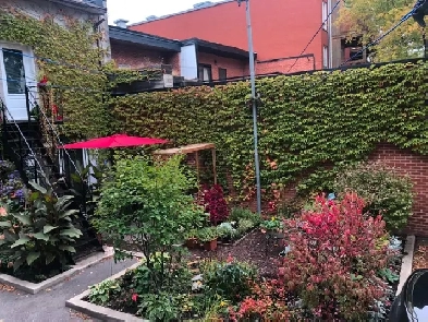 PLATEAU MONT ROYAL Image# 1