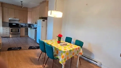 furnished 3 bdr Apt near metro Joliette Image# 1