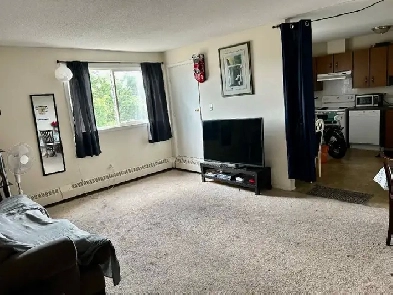 1 bedroom apartment for rent Image# 1