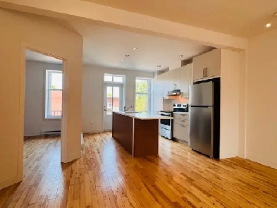 GRAND LOGEMENT RÉNOVÉ À LOUER 3 CH, MERCIER HOCHELAGE Image# 1