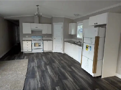 NEW 2 bdrm Home in a peaceful park (Silver creek area, Salmon Ar Image# 7