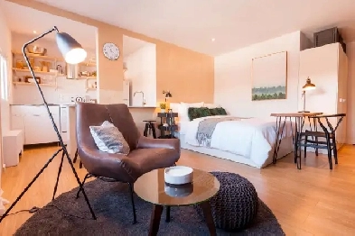 Superbe Studio Meublé au Cœur du Plateau pour Juillet Image# 1