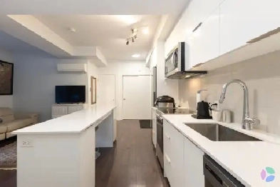 1 BEDROOM APARTMENT ST-LAURENT Image# 1