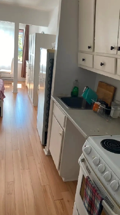 Studio de 1-1/2, sur le Plateau Image# 1