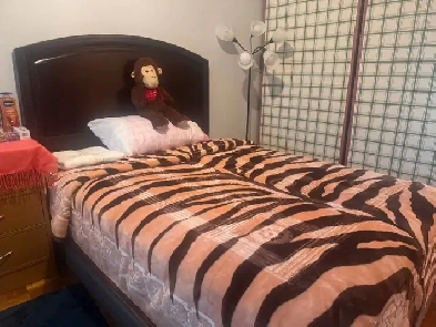Room for rent Image# 3