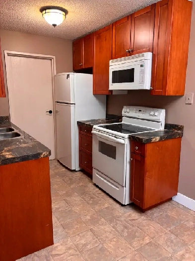 Nicely updated 2 bedroom condo in Lakeview Image# 5