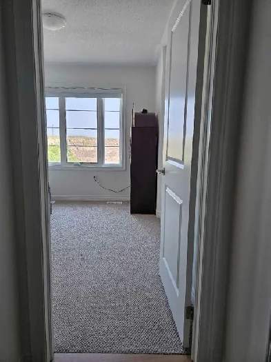 Quiet Room for Rent - Female Only, Shared Washroom Image# 1