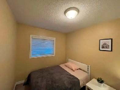 Furnished room @ Weston/Highway 401 - All utilities wifi laundry Image# 3