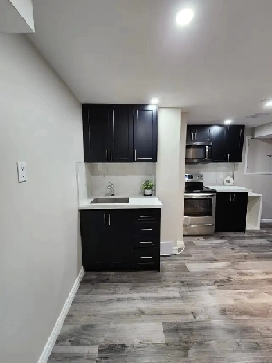 Newly renovated basement apartment Image# 16