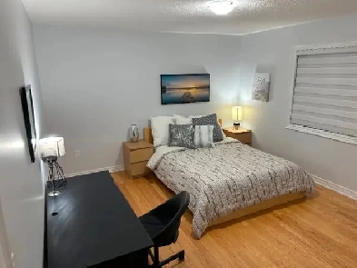 ROOM FOR RENT - BIG WINDOWS - NEAR BRAMALEA CITY MALL Image# 1