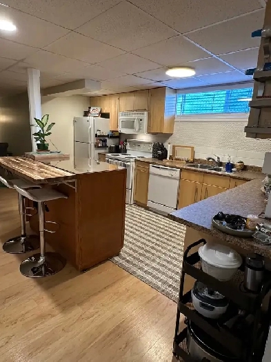 Furnished Basement Unit Image# 6