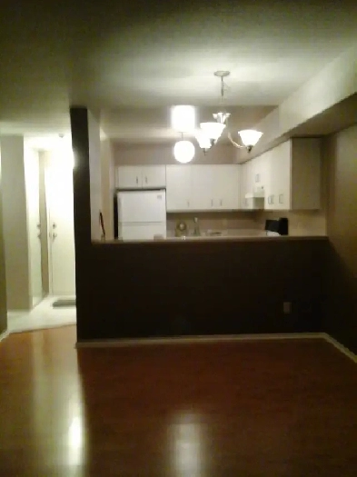 Beautiful Spacious Hardwood floor Condo Image# 1