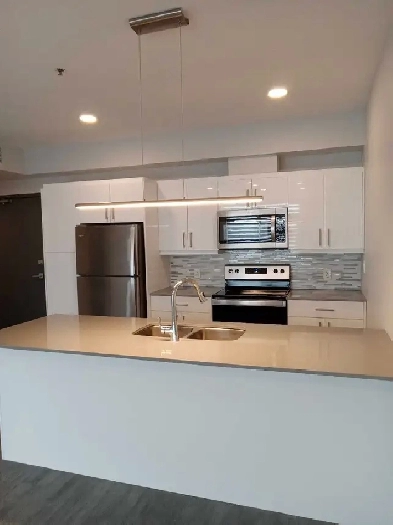 Luxury 1Bd 1Bth Apartment for Rent Image# 5