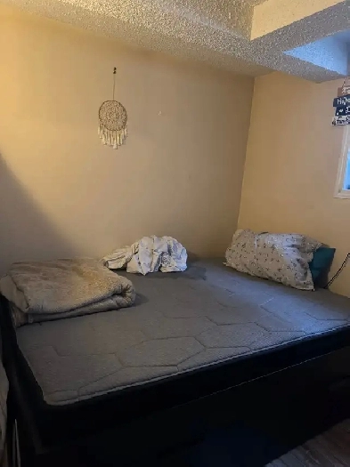 room for rent Image# 3