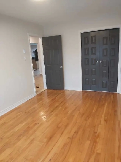 5 1/2 spacieux, metro fabre a proximite de tous Image# 1