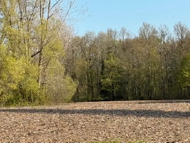 ISO FARM LAND FOR RENT Image# 1