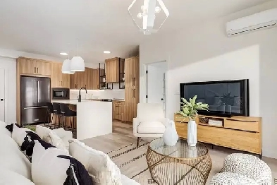 Brand New 2 Bed 2 Bath Apartment Image# 3