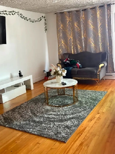 Very beautiful 5 1/2 for rent near metro Cartier. Image# 1