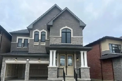 Basement for rent in Brampton Image# 3