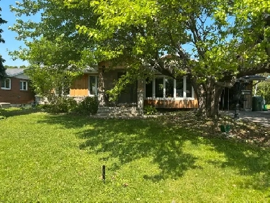 Bungalow for Sale Image# 5