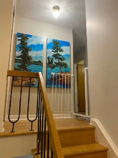 Carleton   Algonquin students - 1 room available Image# 5