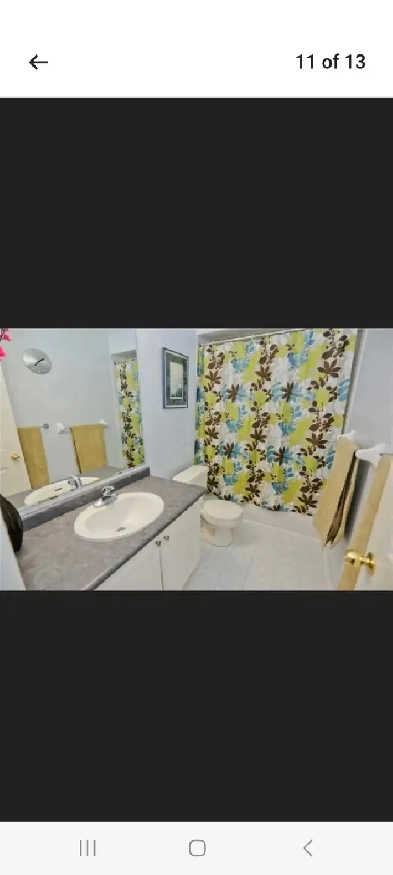 Room for rent 800 Image# 1