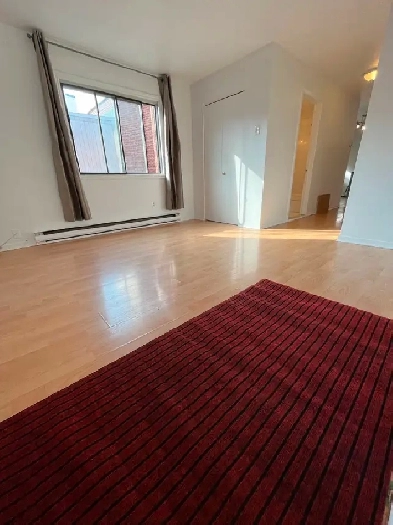 4 1/2 récemment rénové à louer - Coeur Plateau Mont-Royal Image# 1