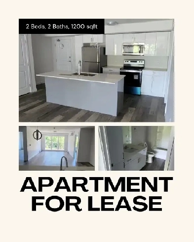 Spacious 2 bed/2 bath apartment for lease transfer from July 1st Image# 1