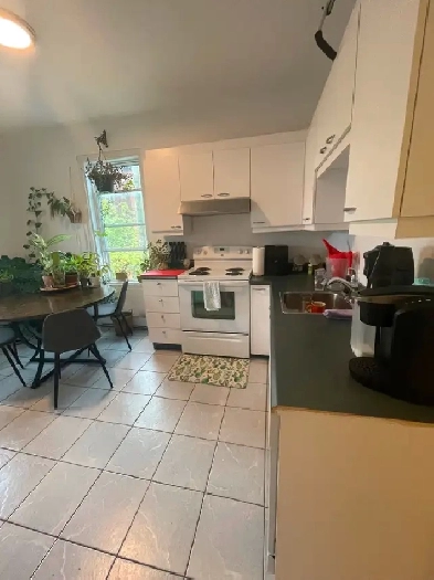 Promenades Ontario - 4 1/2 à louer – 1550 $ Image# 1