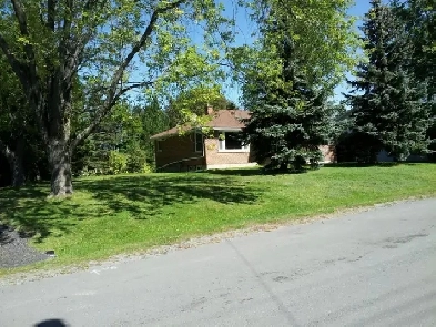 Lively bungalow on oversized lot Image# 1