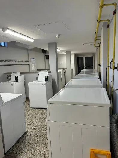 Room for Rent in a 3-Bedroom(Female Only) Image# 3