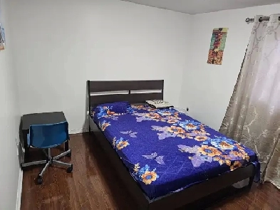 1 room available Image# 1