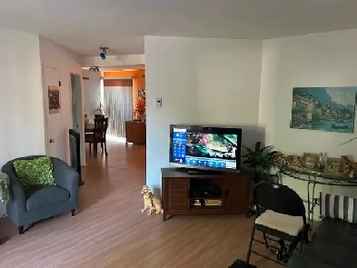 Appartement 4 1/2 à louer 1er août Image# 5