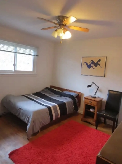 Very Nice Clean Quiet Room Near Algonquin College ! Image# 2