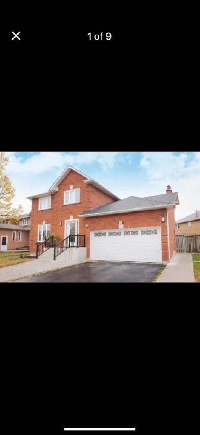 one bedroom basement near Humber college north Image# 2