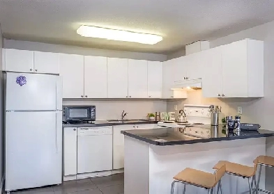 Furnished 4 Bedroom Townhome for Students Downtown London Image# 4