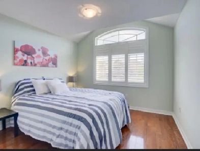 Room for Rent for single person ! Image# 3