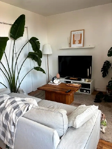 4 1/2 Propre À Louer, À Verdun Image# 1