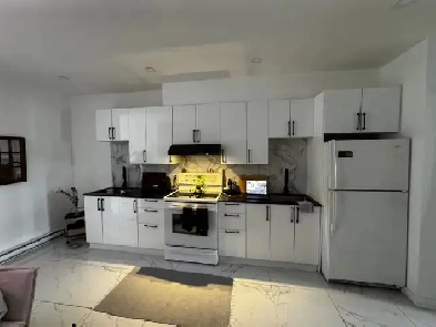 4 1/2 appartement Rénové à louer Plateau-Mont-Royal Image# 1