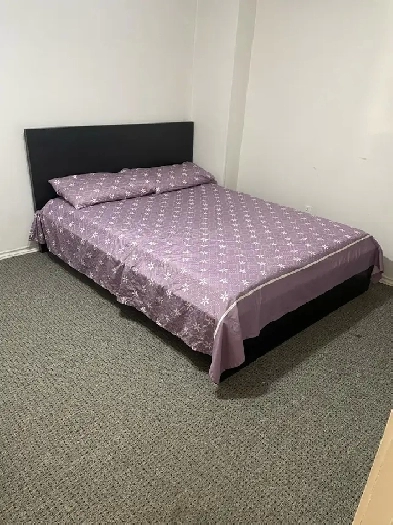 Basement for rent Image# 1