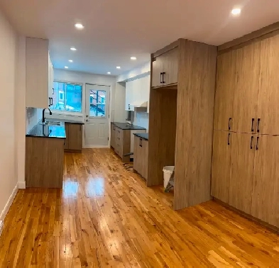 Grand 51/2 rénové Image# 1